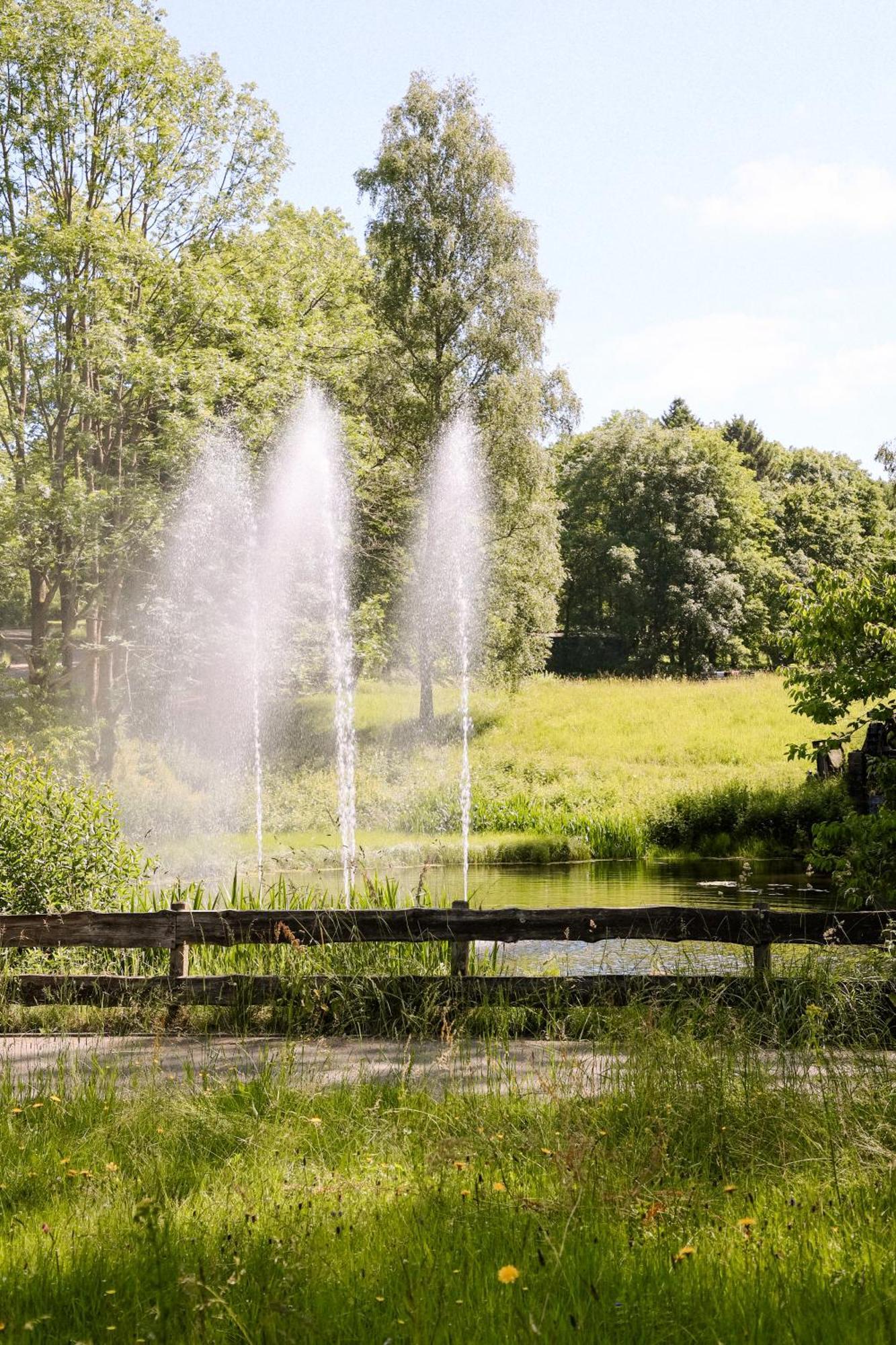 Terrassenhaus Im Harz, Pool, Sauna, Wlan Braunlage Εξωτερικό φωτογραφία