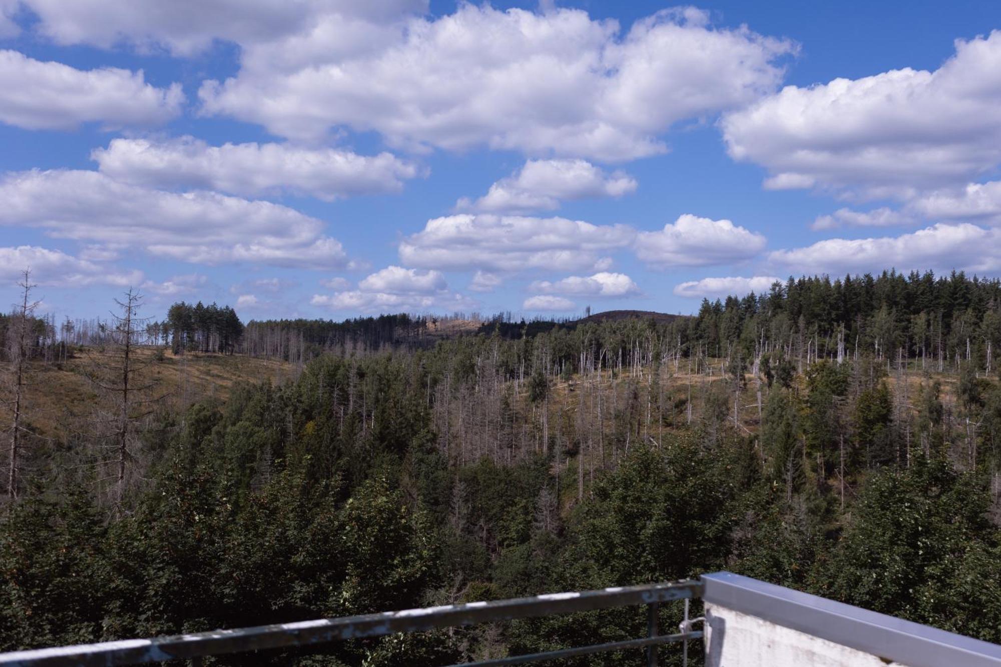 Terrassenhaus Im Harz, Pool, Sauna, Wlan Braunlage Εξωτερικό φωτογραφία